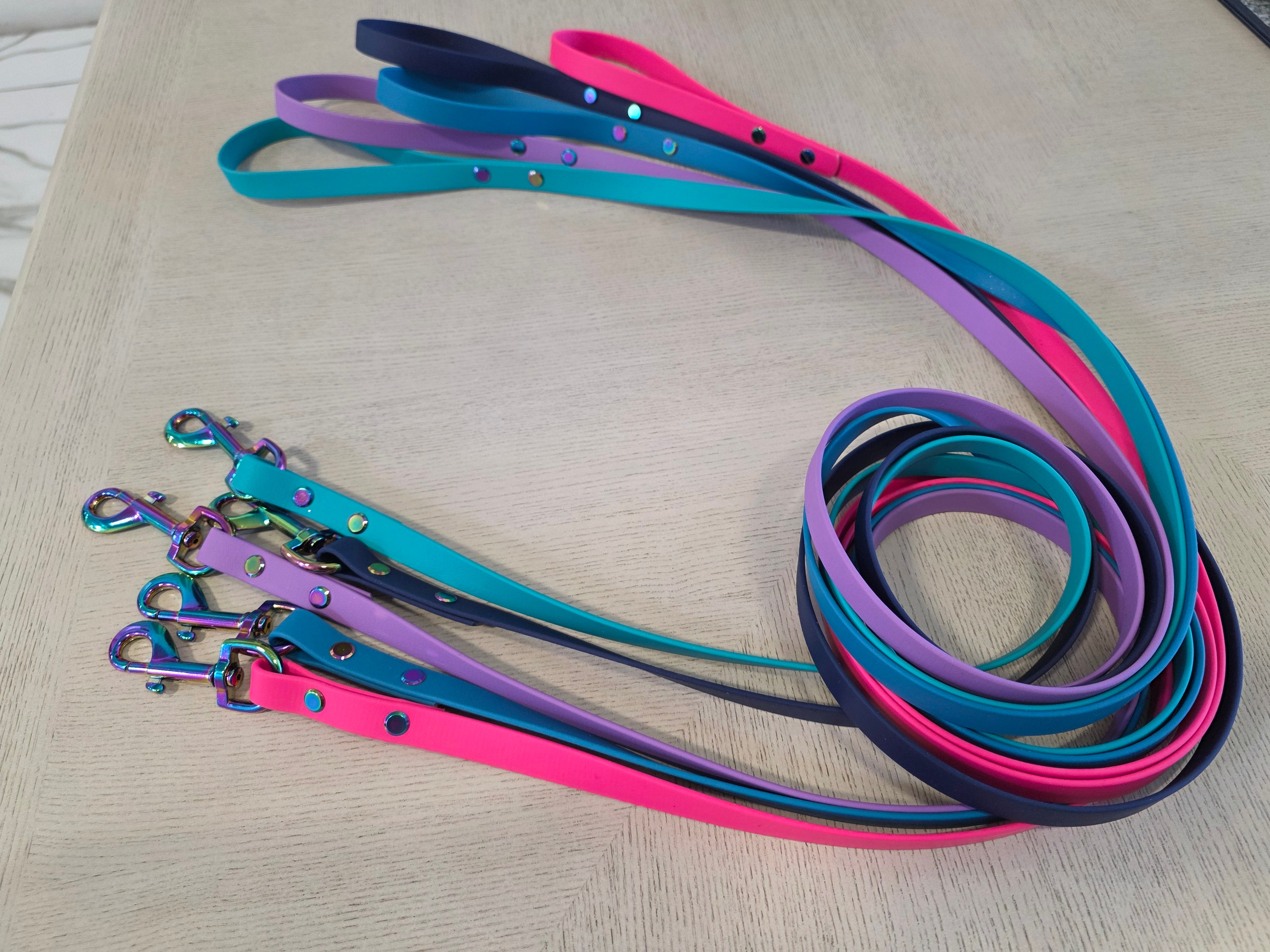 6' Biothane Dog Lead 5/8" wide
