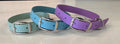 3/4" Solid Biothane Collar