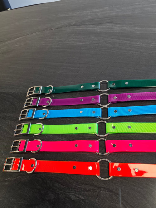 1" Center Ring Solid Biothane Collar