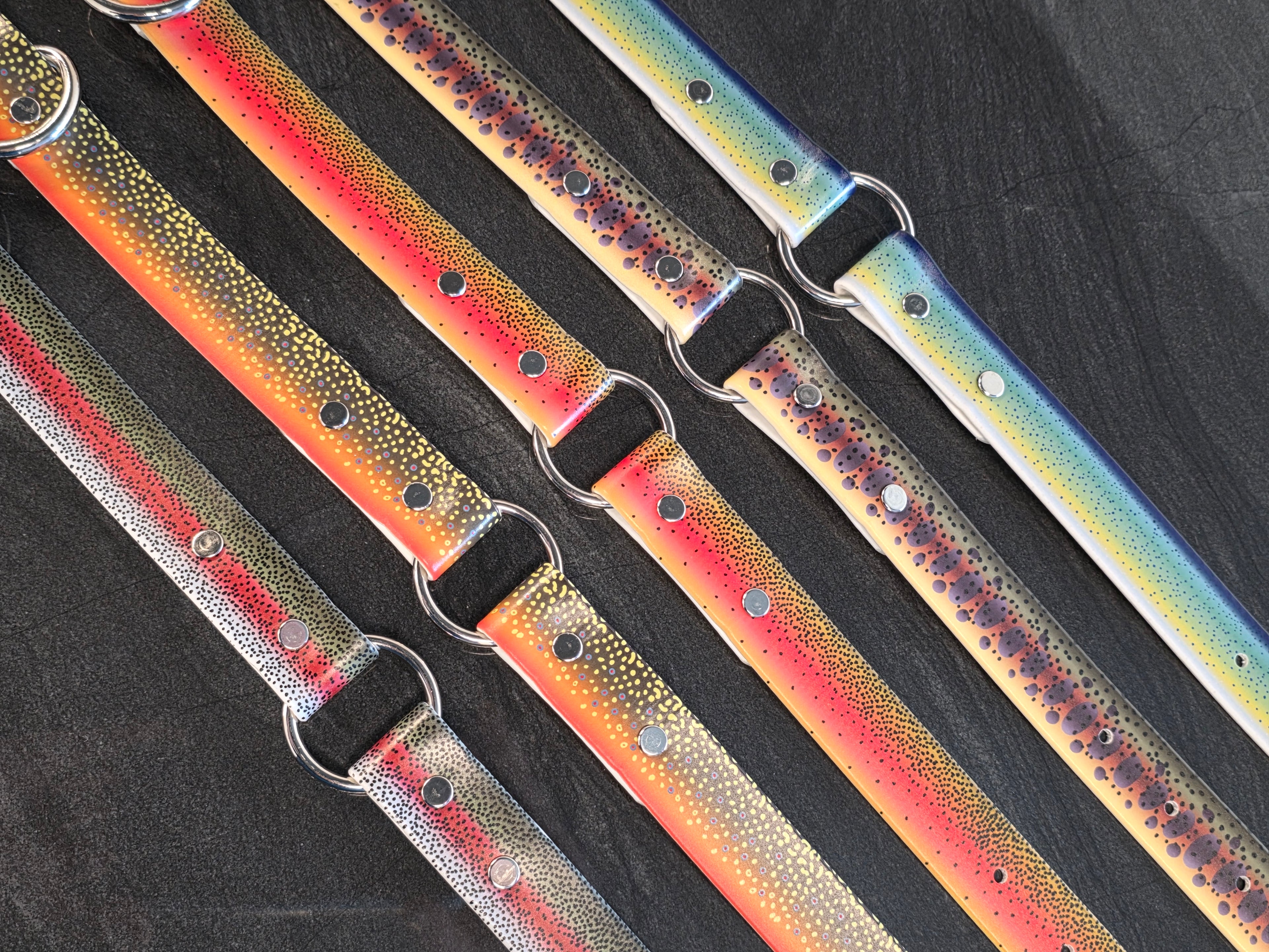 1" UV Printed Center Ring Biothane Collar